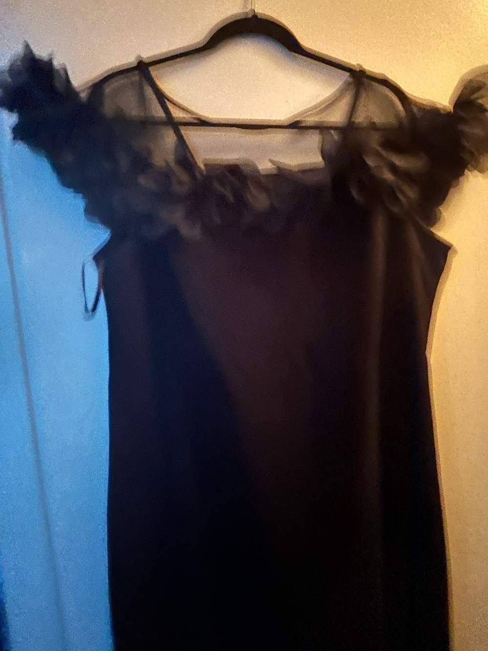 Sheer Ruffle-Trim Black Slip Dress